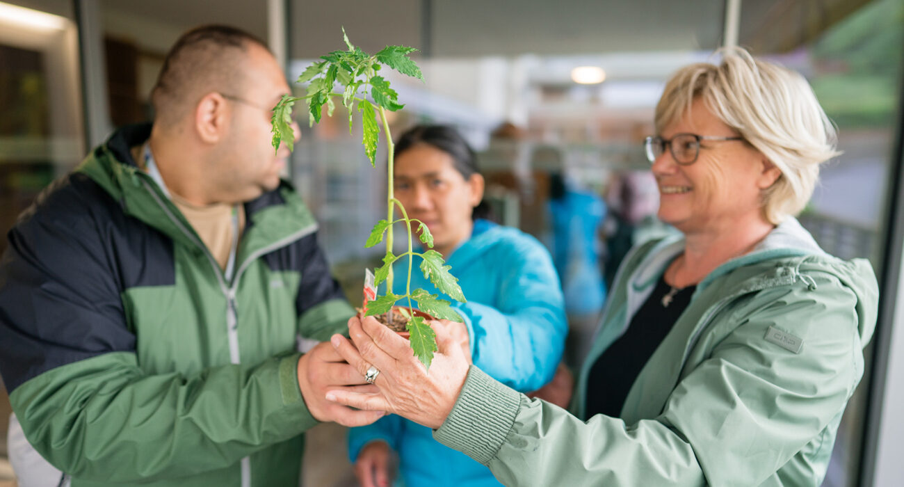 Drei Personen der Ateliergruppe halten eine selbstgezogene Pflanze in den Händen